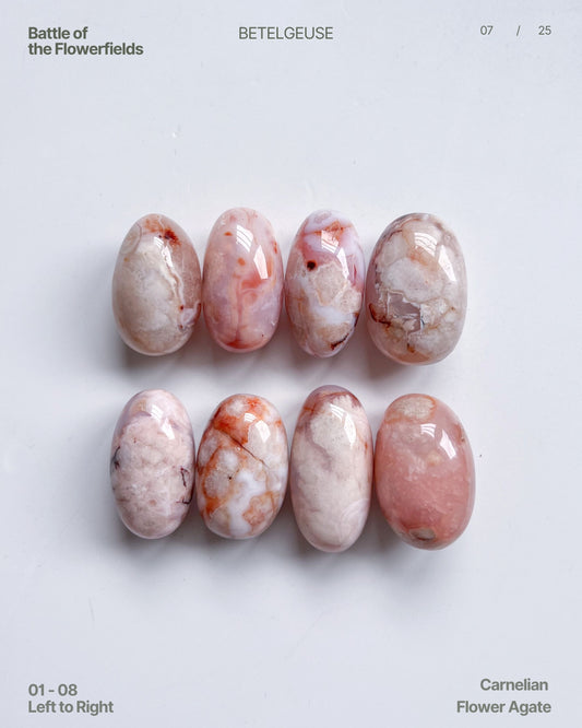 Top-down view of eight Carnelian Flower Agate beans with high polish, featuring swirls of peach, cream, and petal-like patterns.