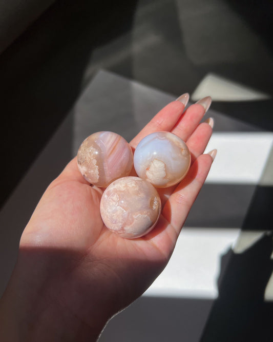 Close-up of a hand holding three Carnelian Flower Agate spheres under direct natural sunlight, showcasing warm-toned translucency, subtle banding, and intricate white plumes.