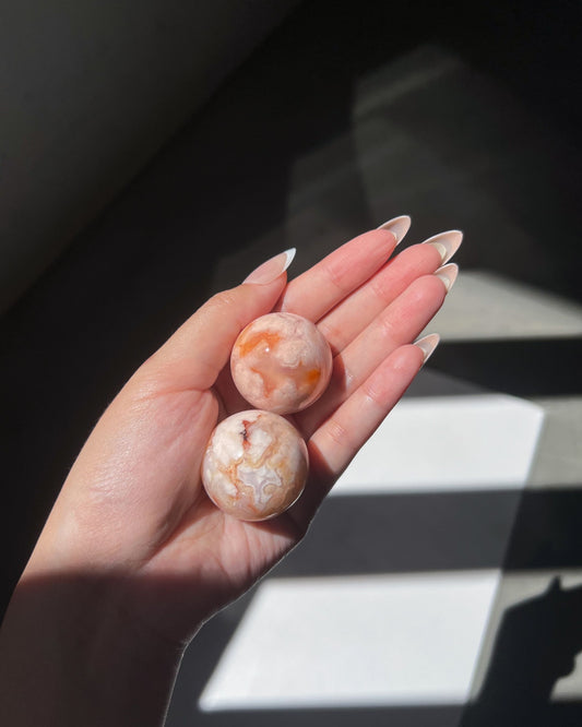 Carnelian Flower Agate spheres 08–09 held in natural daylight, showcasing vibrant orange plumes and creamy textures.