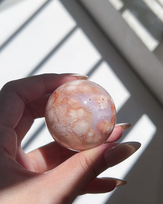Ume sphere held in natural light, showcasing serene blue hues and glowing apricot floral plumes.
