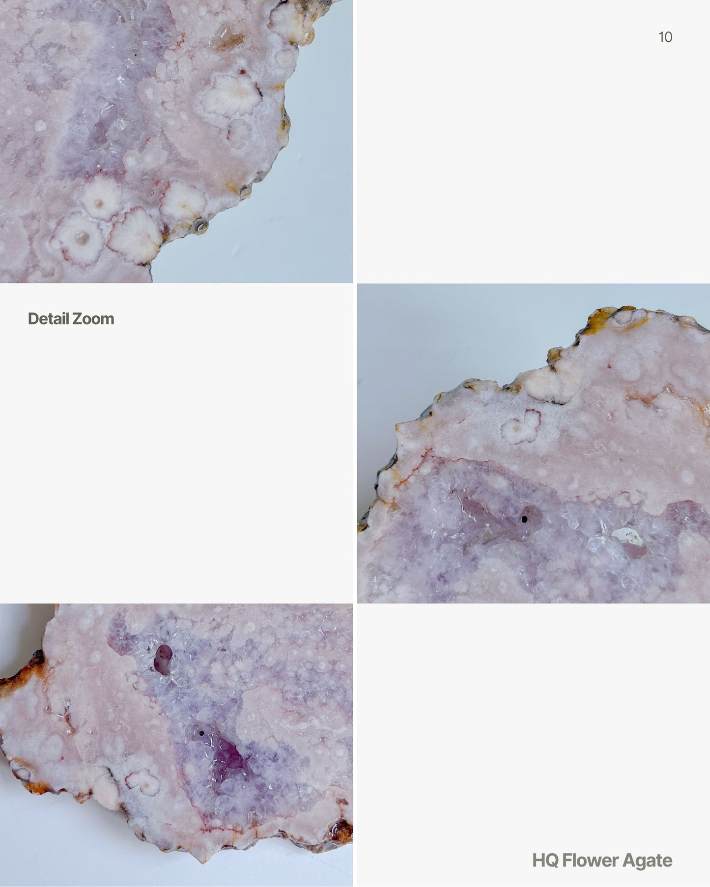 Close-up images of Roselle flower agate with different magnifications on a light blue background.