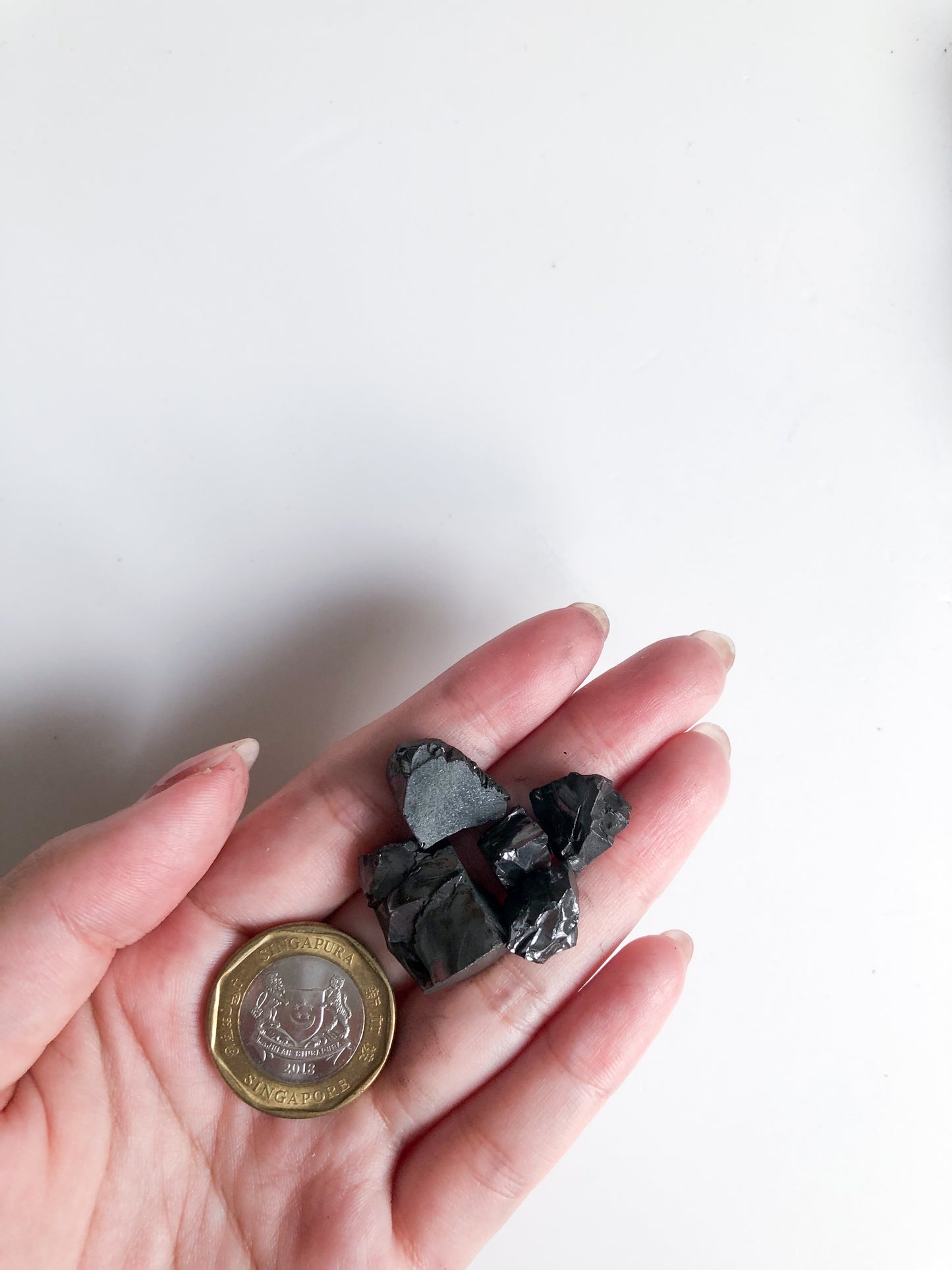 Elite Shungite