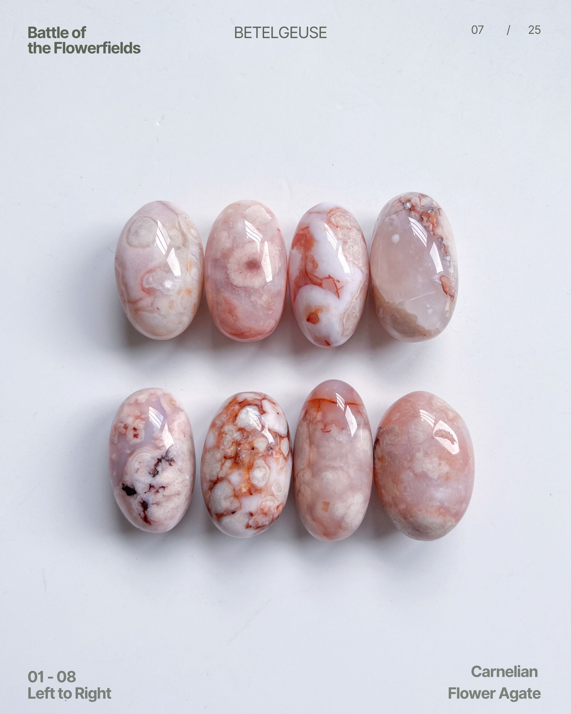 Flat lay of eight polished Carnelian Flower Agate beans arranged in two rows, showcasing soft blush tones and floral plume inclusions.