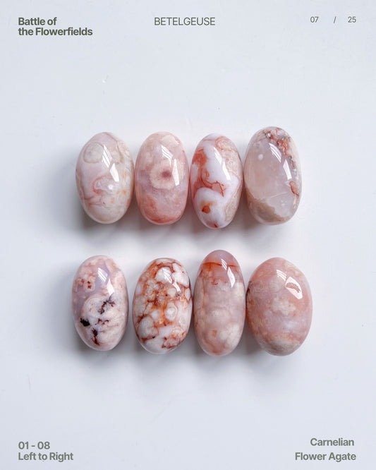 Flat lay of eight polished Carnelian Flower Agate beans arranged in two rows, showcasing soft blush tones and floral plume inclusions.
