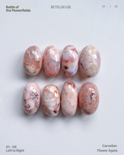 Editorial-style flat lay of flower-patterned Carnelian Agate beans, with intricate banding and gentle pink hues.