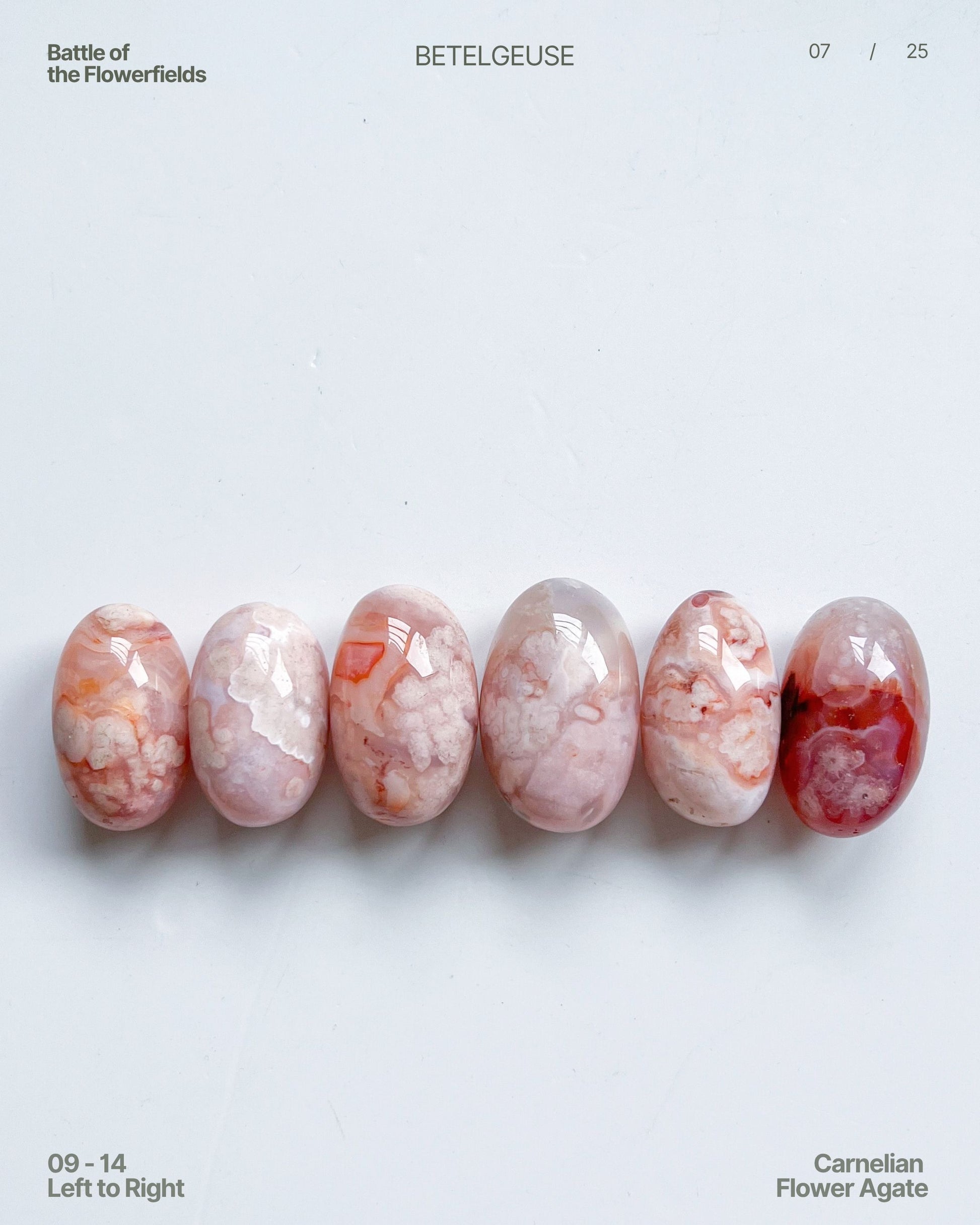Row of Carnelian Flower Agate stones on a white background