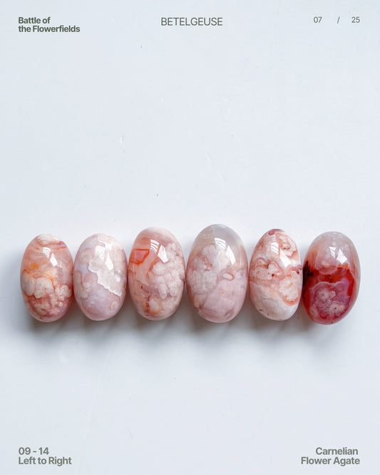 Row of Carnelian Flower Agate stones on a white background