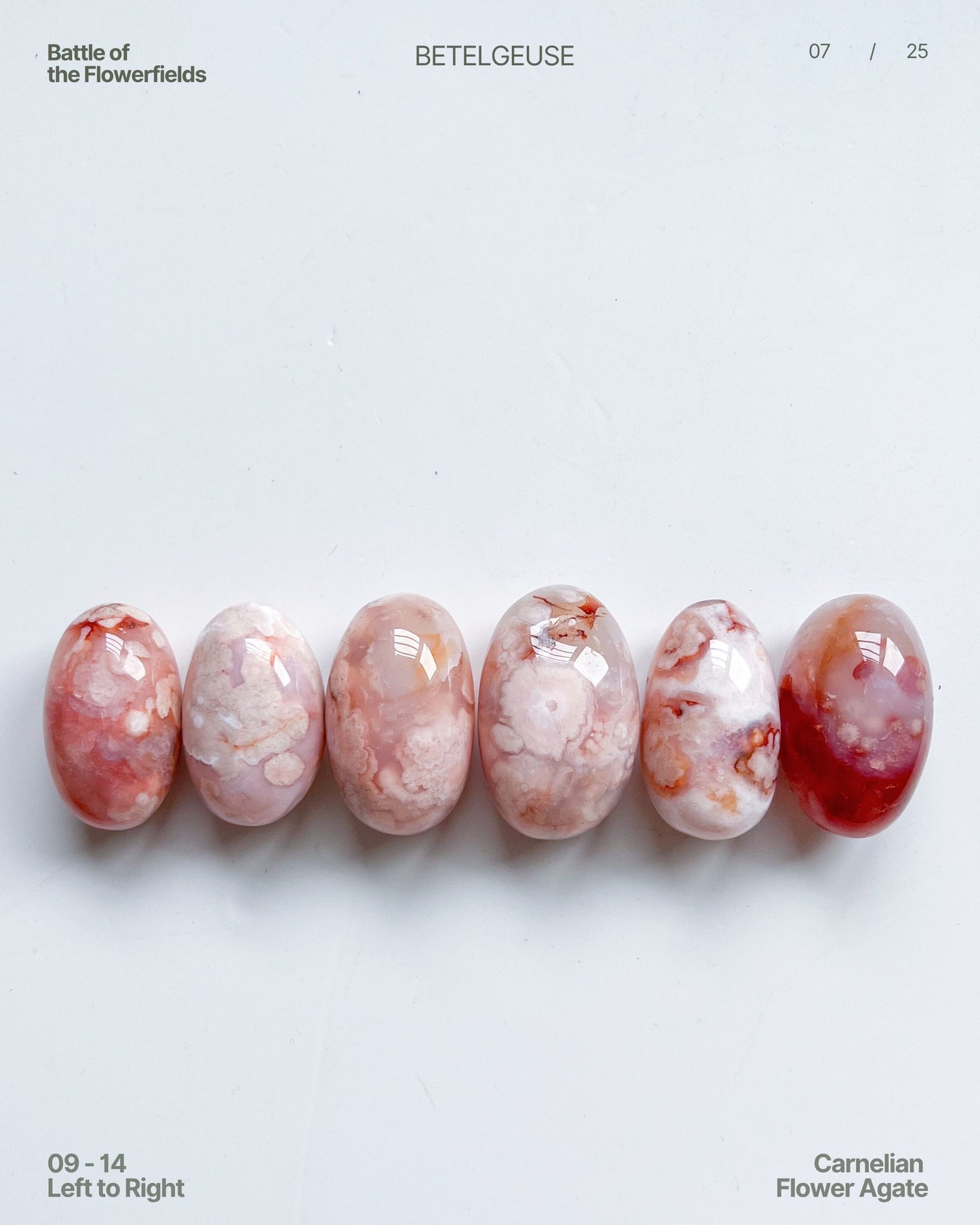 Carnelian Flower Agate Beans No. 09–14 Group View 2 — rare pastel agates with blue tinge and vibrant plumes. 