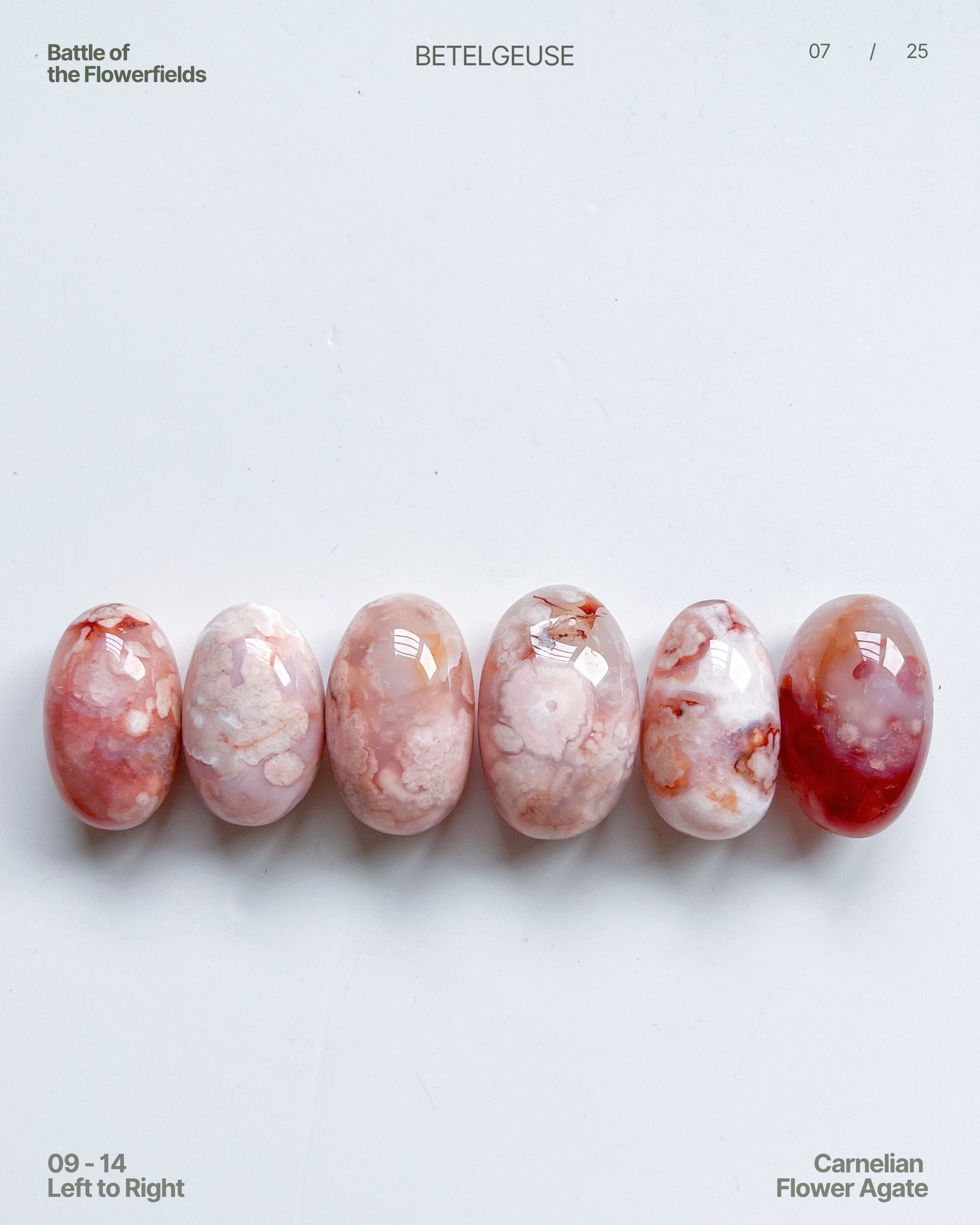 Carnelian Flower Agate Beans No. 09–14 Group View 2 — rare pastel agates with blue tinge and vibrant plumes. 