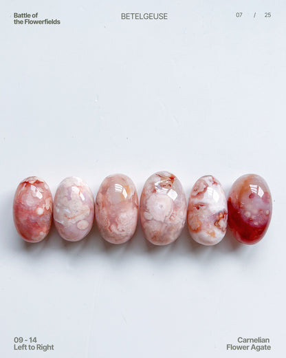 Carnelian Flower Agate Beans No. 09–14 Group View 2 — rare pastel agates with blue tinge and vibrant plumes. 