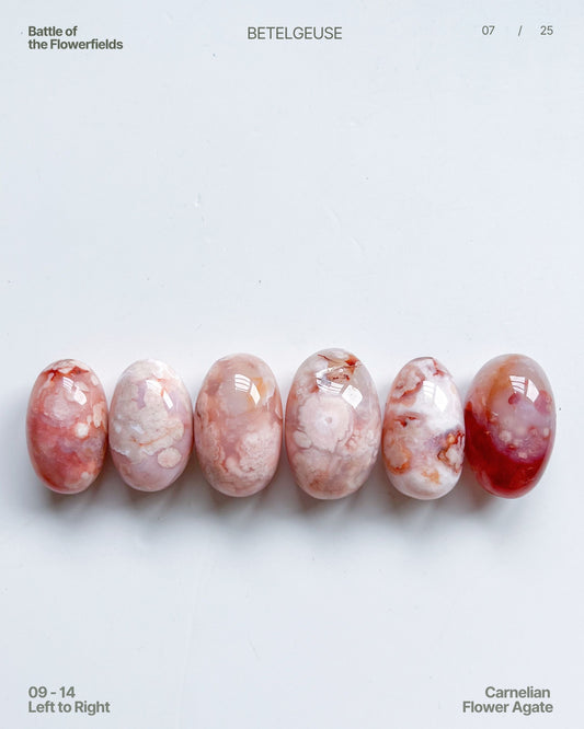 Carnelian Flower Agate Beans No. 09–14 Group View 2 — rare pastel agates with blue tinge and vibrant plumes. 