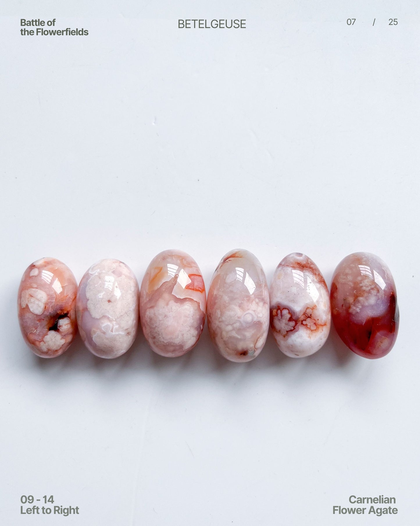 Carnelian Flower Agate Beans No. 09–14 Group View 3 — rare pastel agates with blue tinge and vibrant plumes.