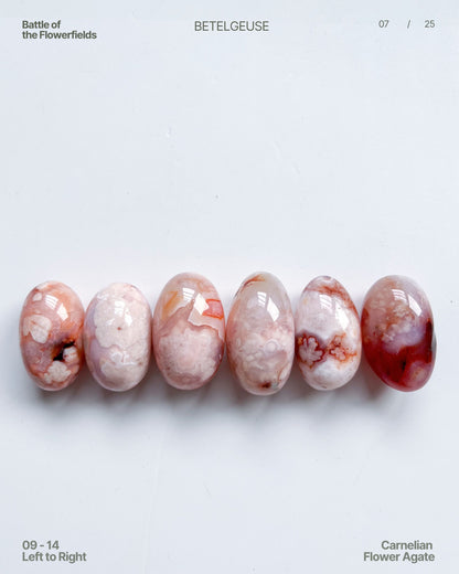 Carnelian Flower Agate Beans No. 09–14 Group View 3 — rare pastel agates with blue tinge and vibrant plumes.