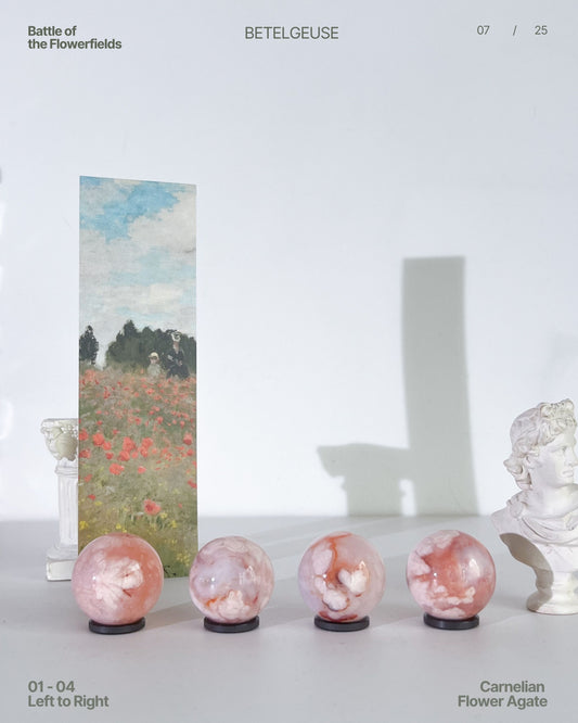 Carnelian Flower Agate spheres 01–04 displayed in a row with soft floral plumes, set beside a Monet-style painting under studio light