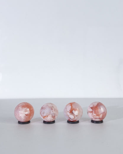 Pastel Carnelian Flower Agate spheres in a row on white background, showing vibrant blush tones and botanical inclusions