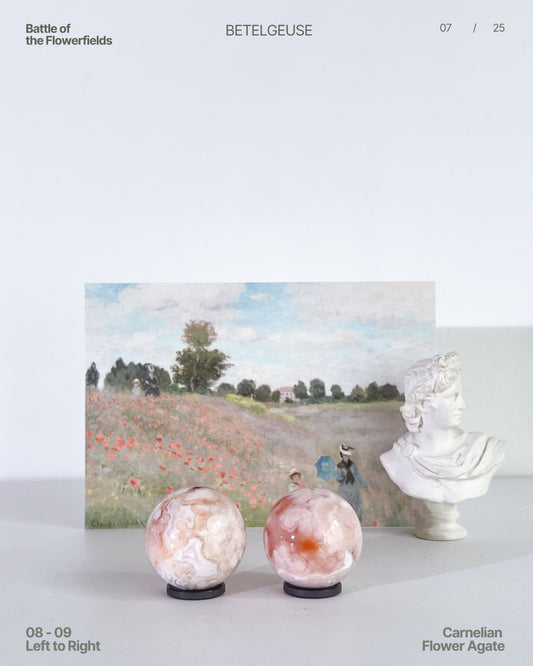 Two Carnelian Flower Agate spheres (08–09) displayed against a Monet print and a marble bust, styled in a soft editorial setting.