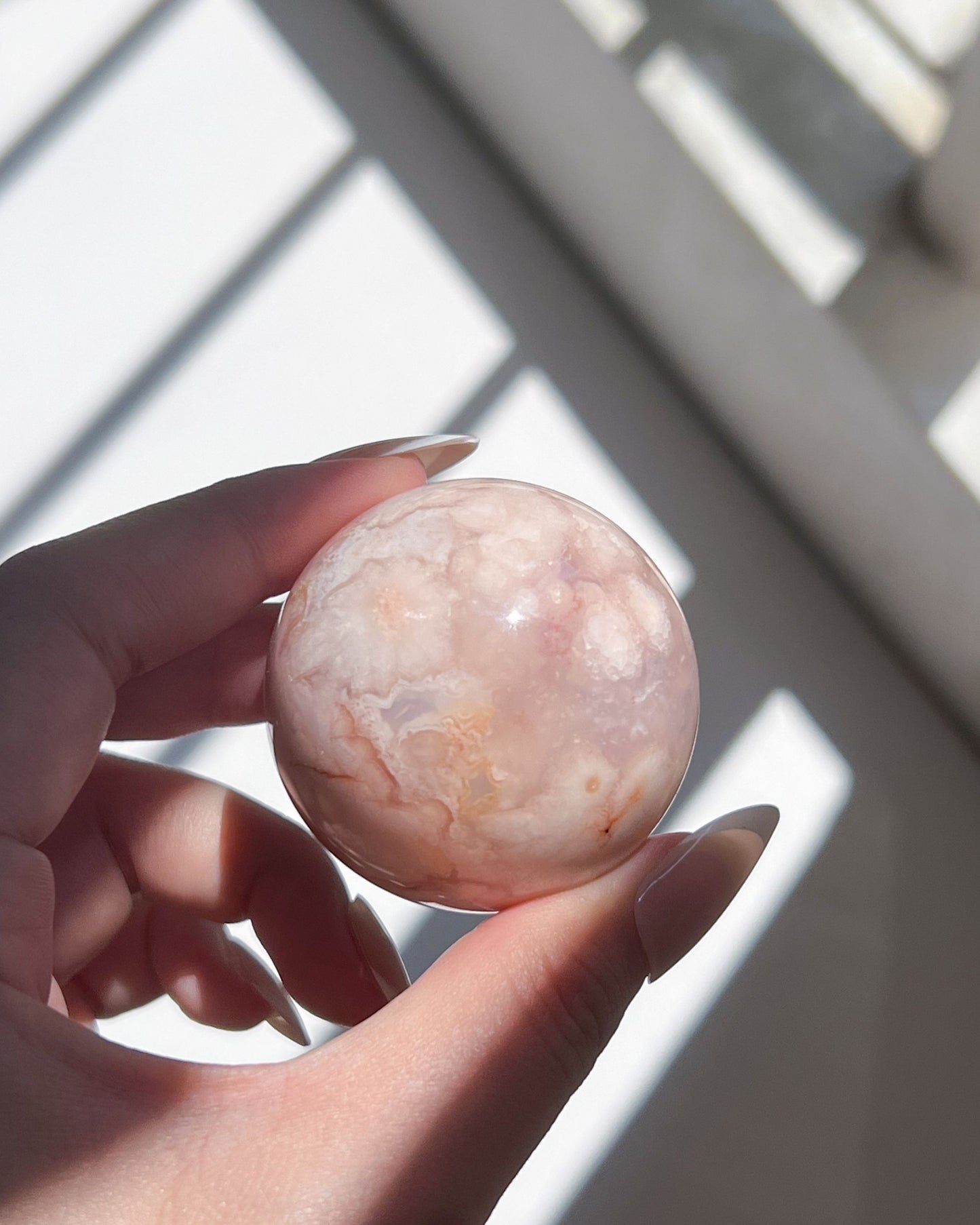 Ume’s contrasting side, with marbled cream and daisy-like formations under soft lighting