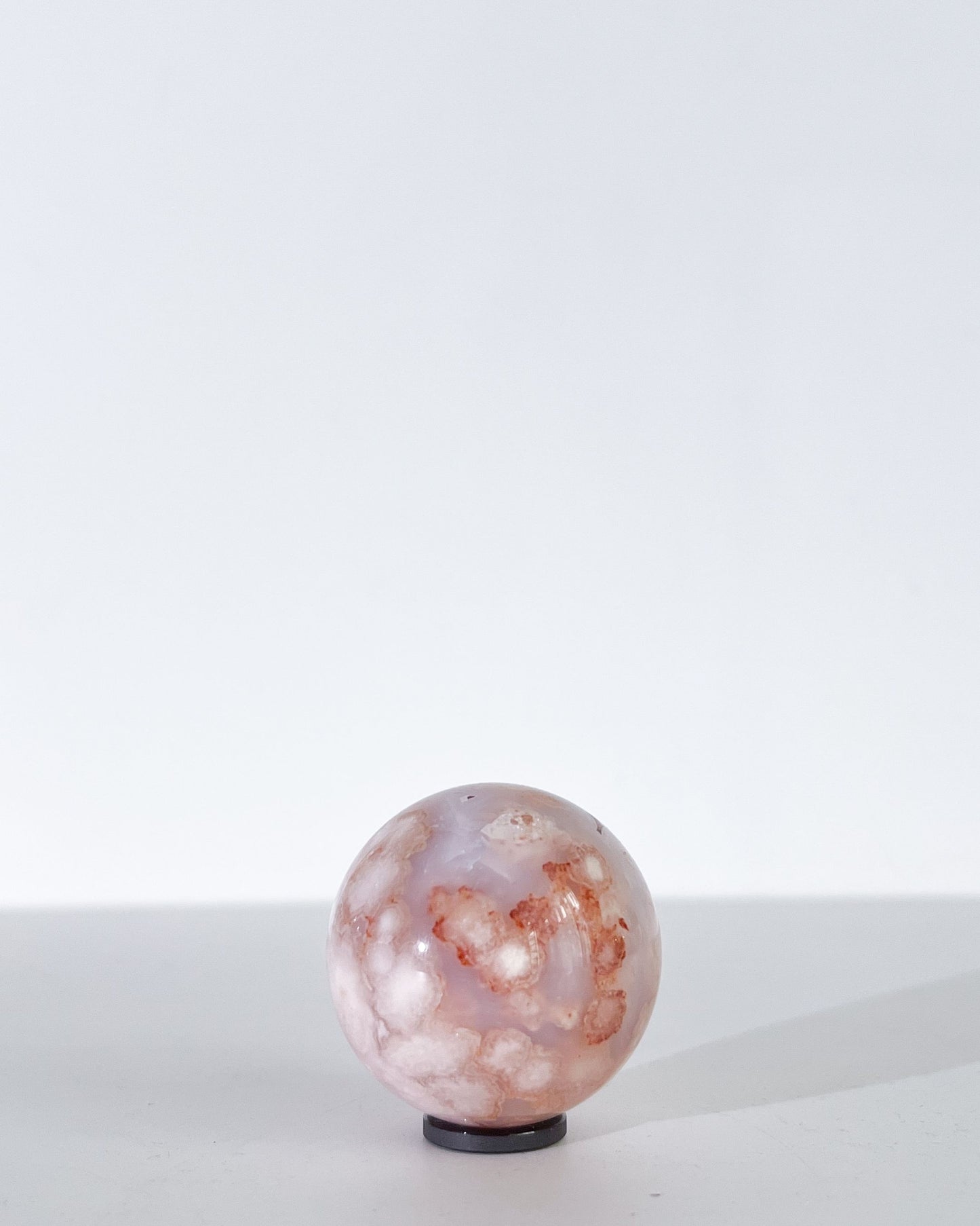 Front-facing studio shot of Ume showing floral textures and subtle pink-blue tones.
