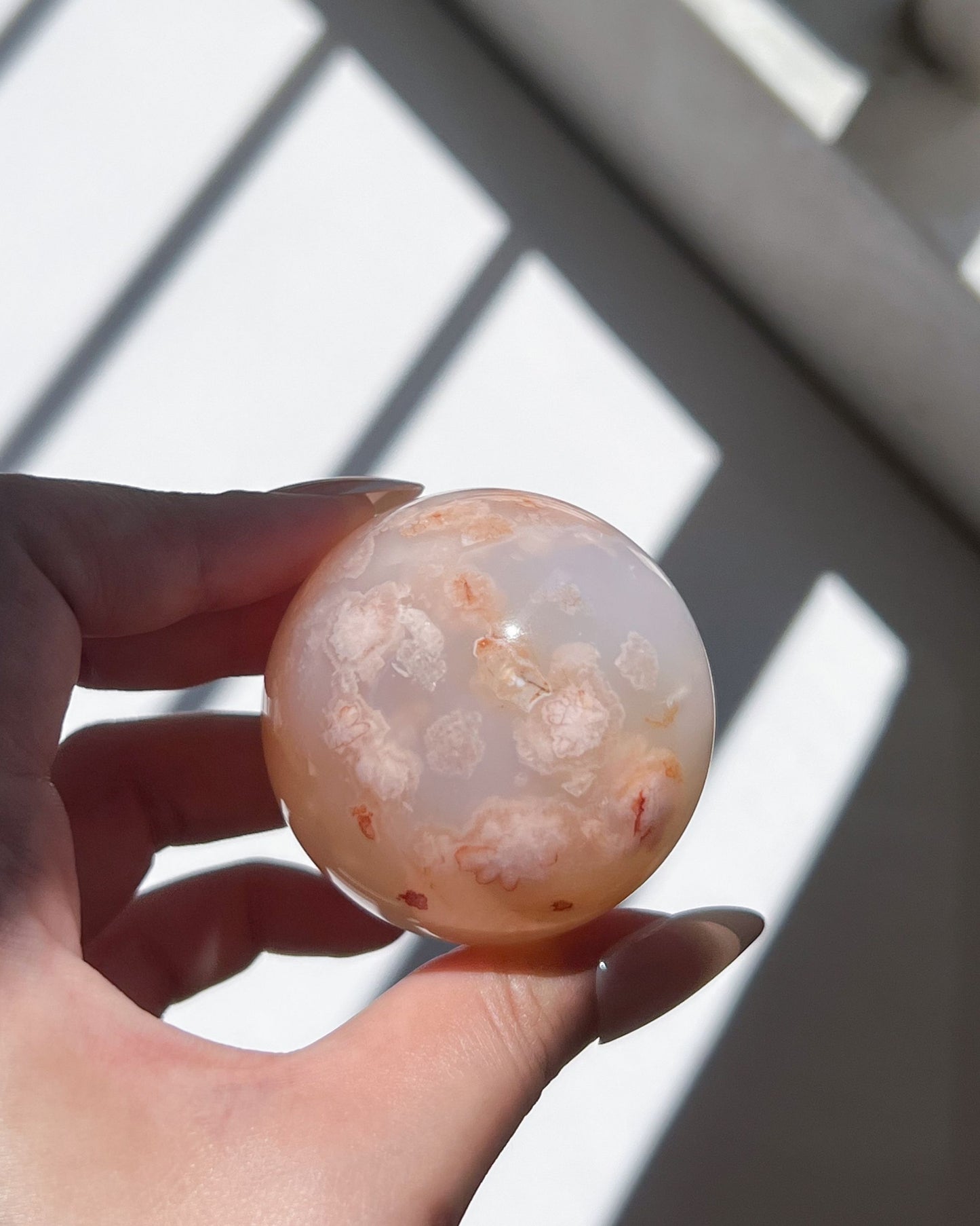 Close-up of Hana’s cream and apricot side with light blue glow and blooming plume detail.