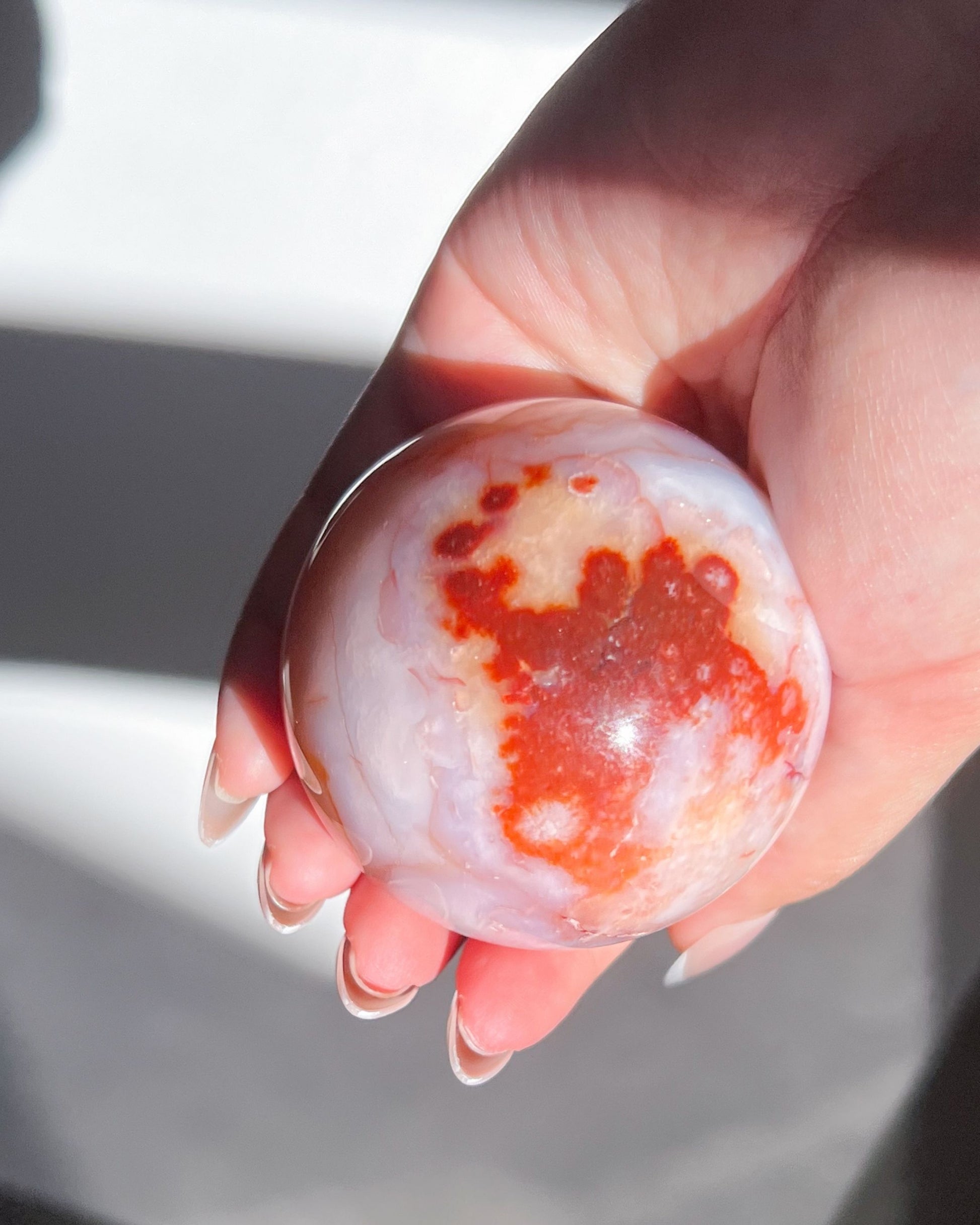 Bold view of Claude’s vibrant coral-red bloom side, reminiscent of a brushstroke in motion.