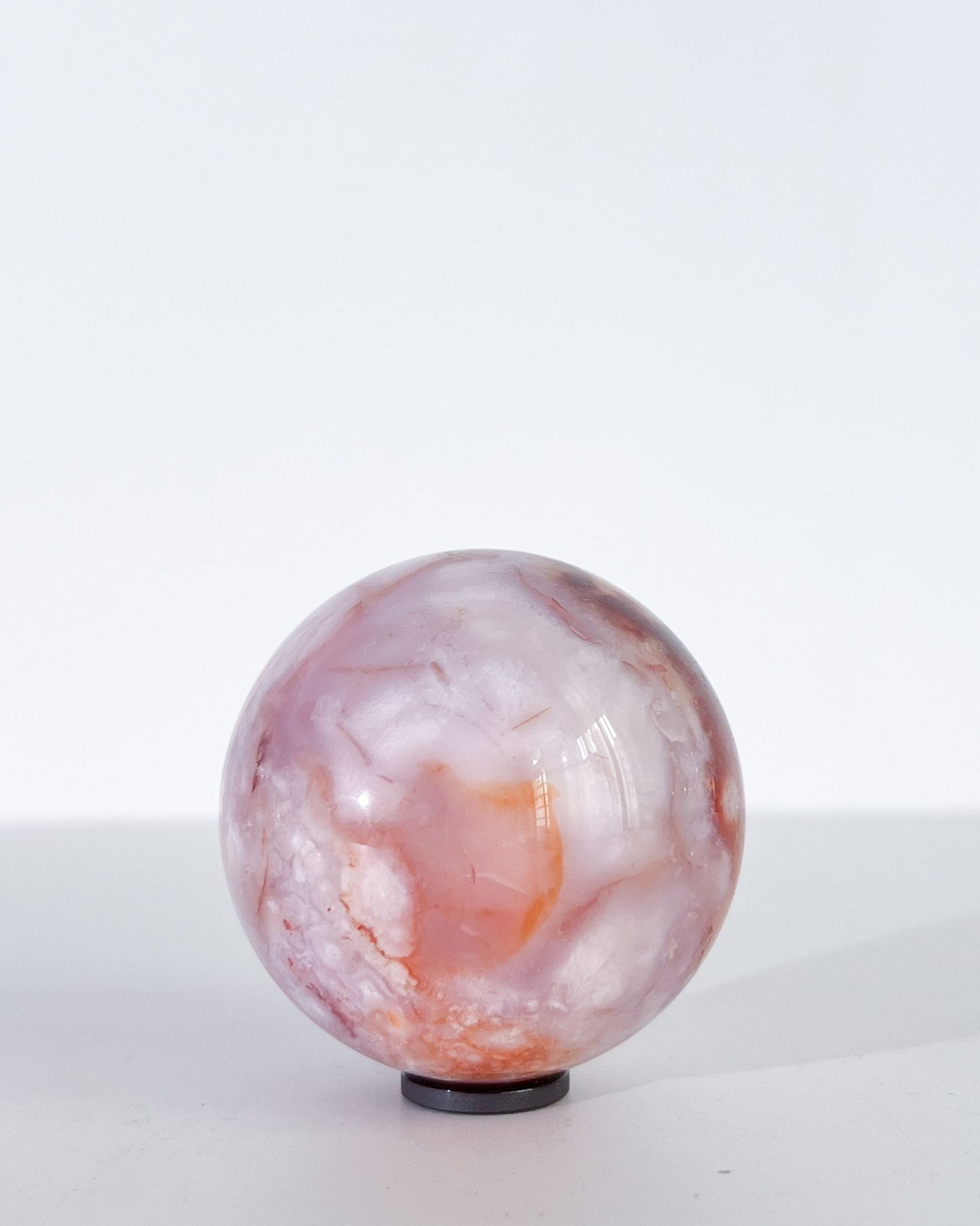 Studio shot of Claude showing painterly blend of pinks, whites, and translucent lilac in soft focus.