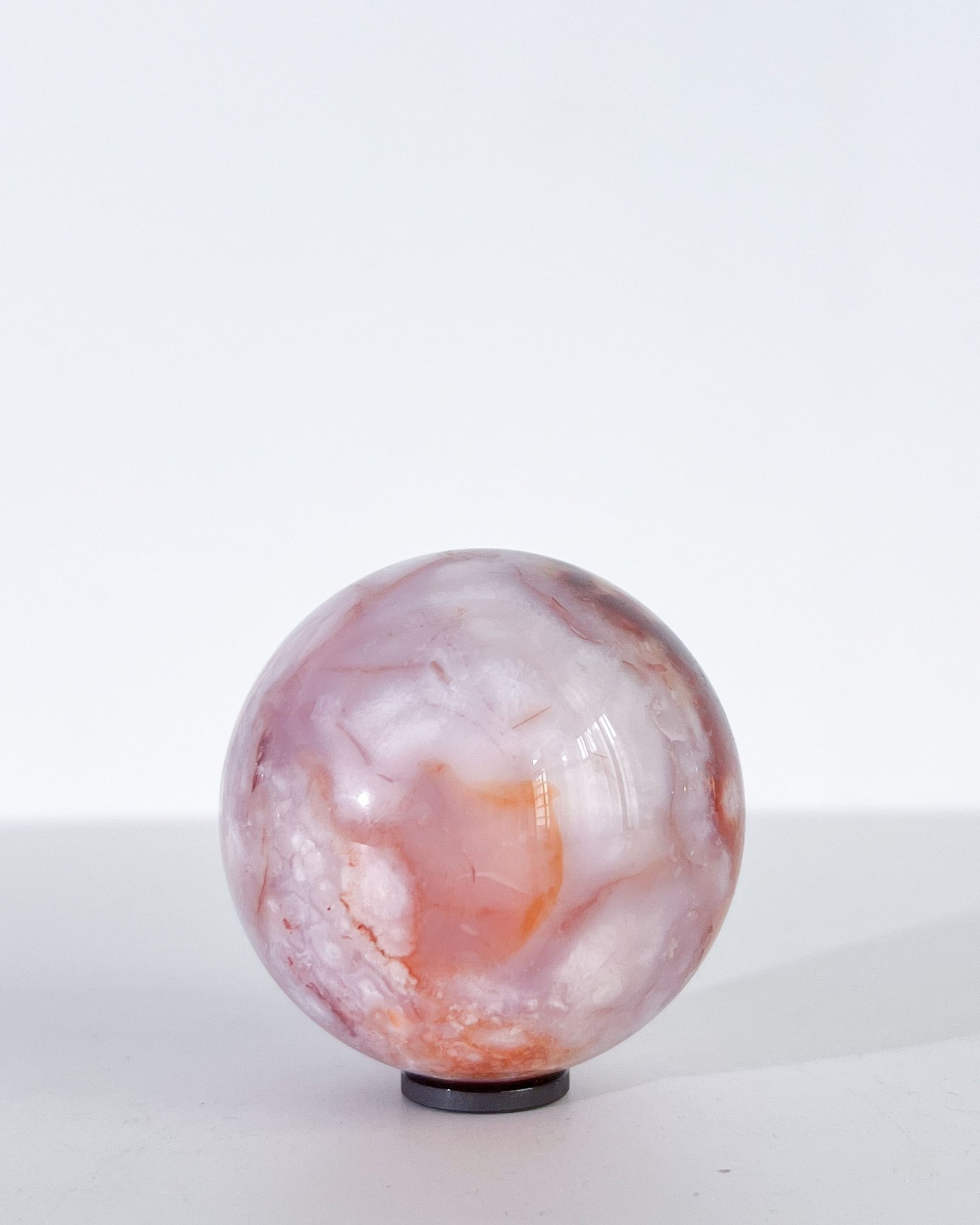 Studio shot of Claude showing painterly blend of pinks, whites, and translucent lilac in soft focus.