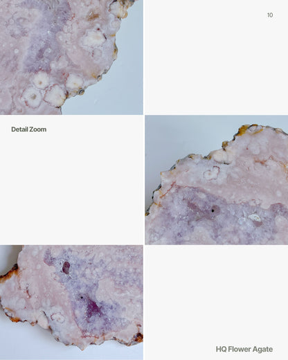 Close-up images of Roselle flower agate with different magnifications on a light blue background.