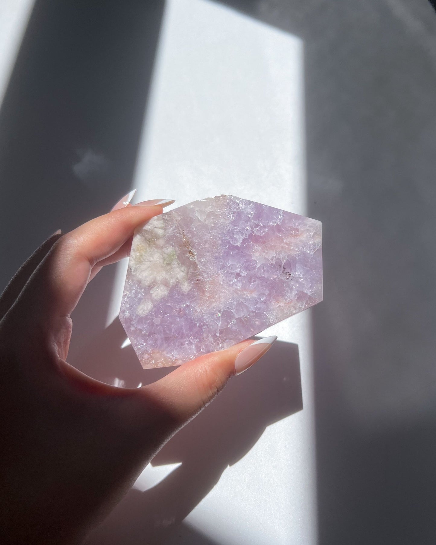 Hand holding Faye Flower Agate slab under dramatic sunlight and shadows