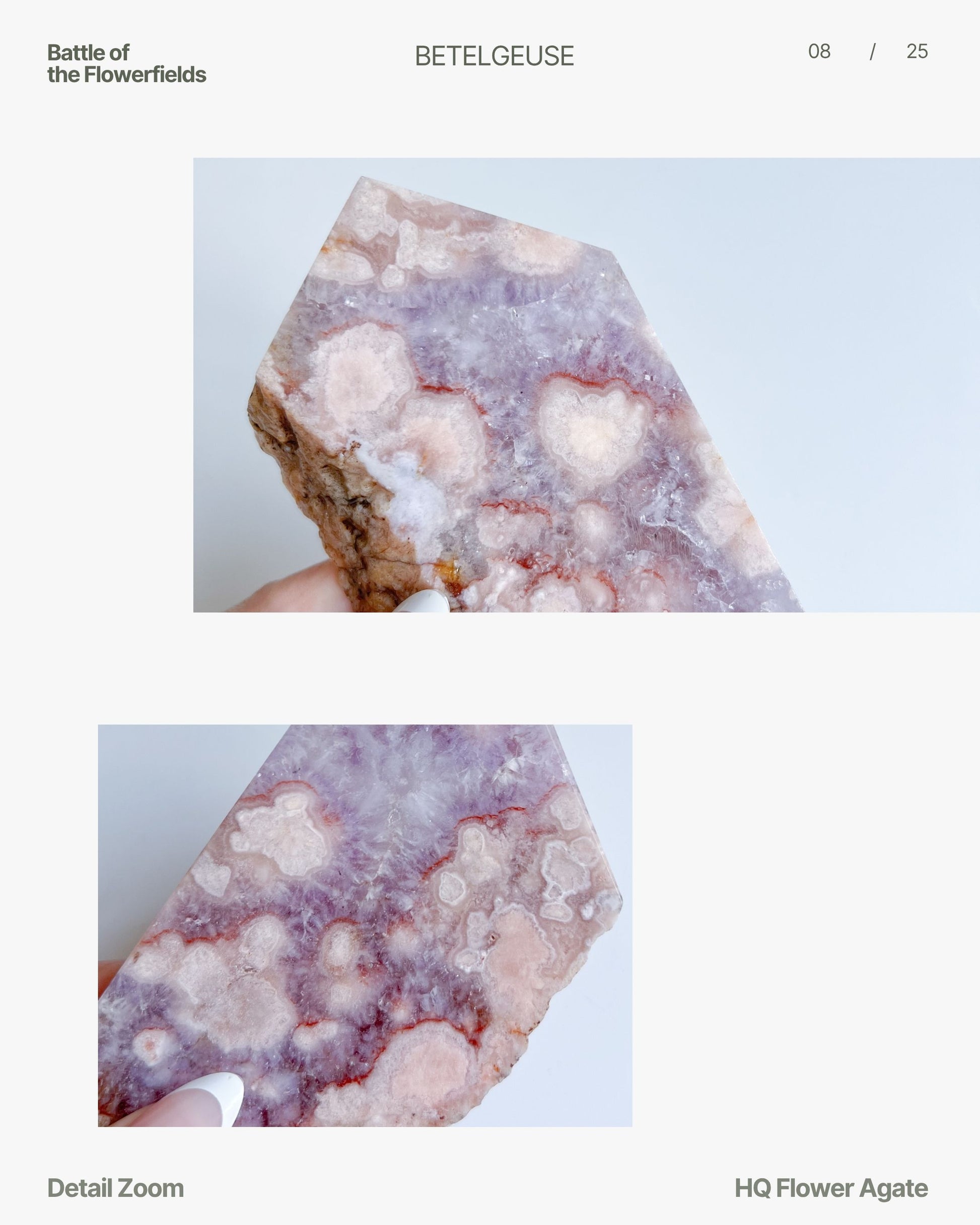Close-up zoom showing Naomi's creamy textured plumes and intricate mineral borders
