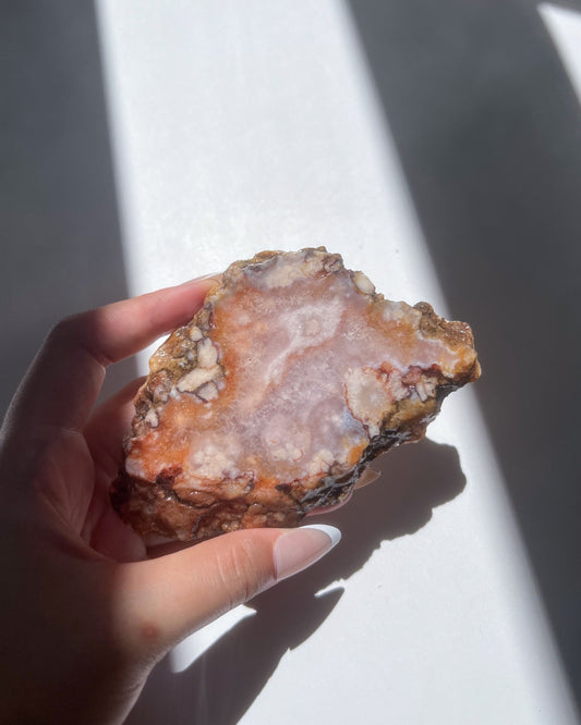 Hand holding Ella Flower Agate slab showing vibrant amber tones and quartz blooms