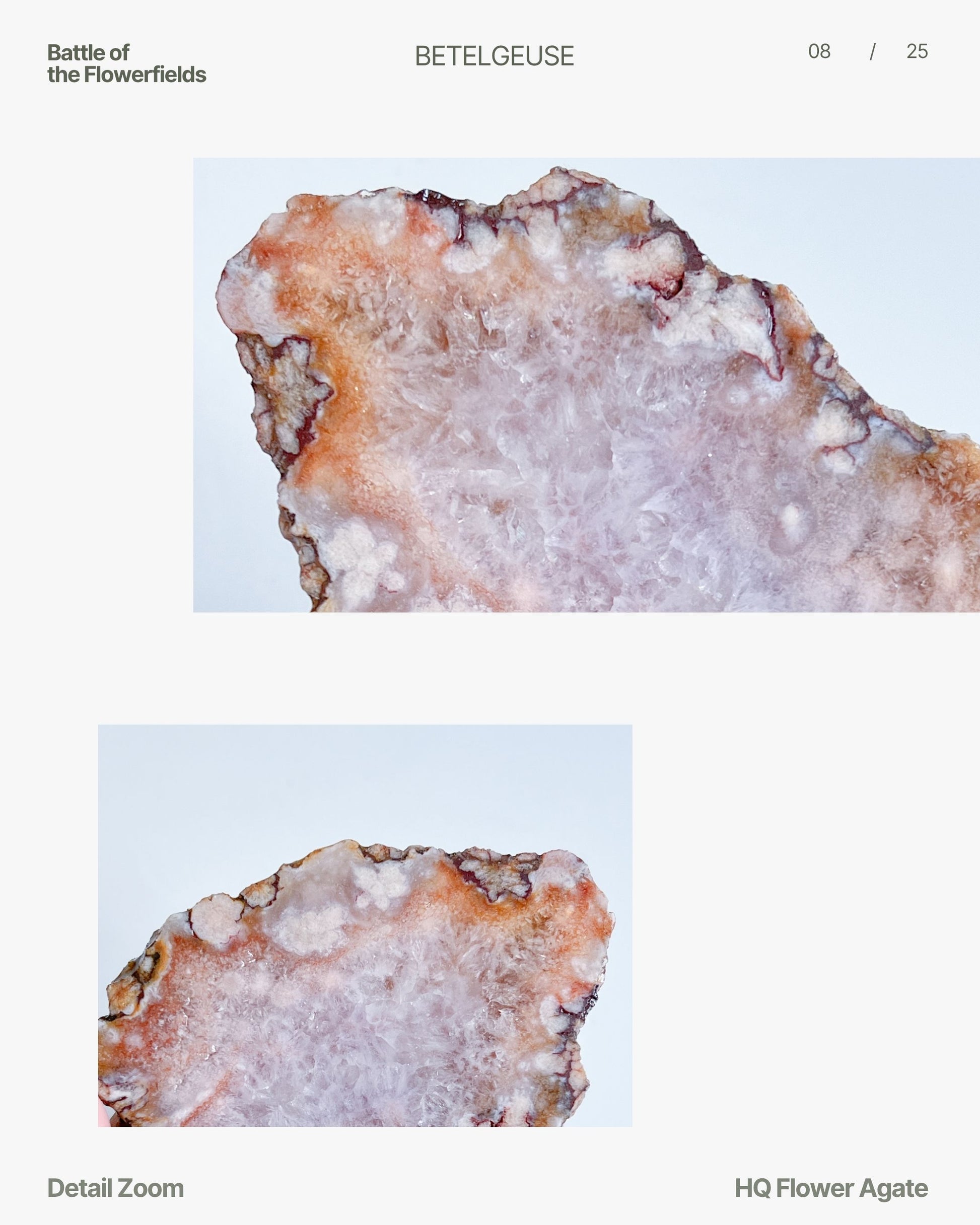 Close up Detail zoom highlighting Ella's quartz center, burnt edges, and crystalline petal forms