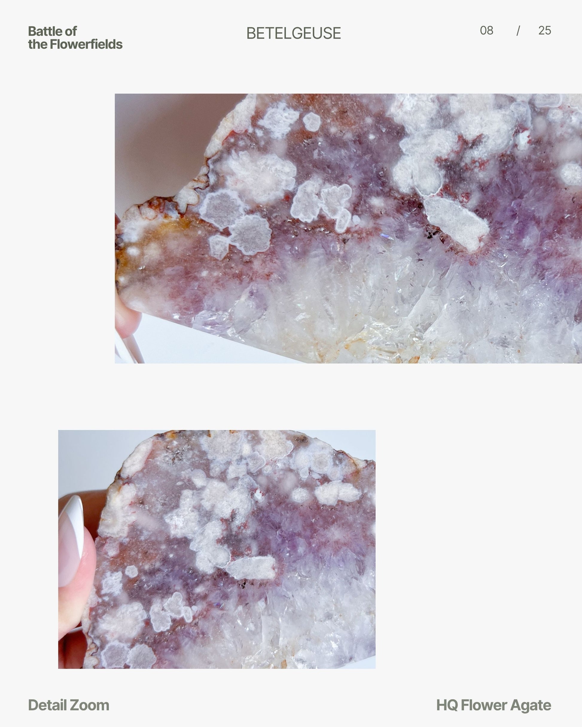 Editorial detail zoom of Avery’s white floral bursts and gold-lavender transitions