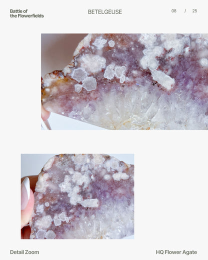 Editorial detail zoom of Avery’s white floral bursts and gold-lavender transitions