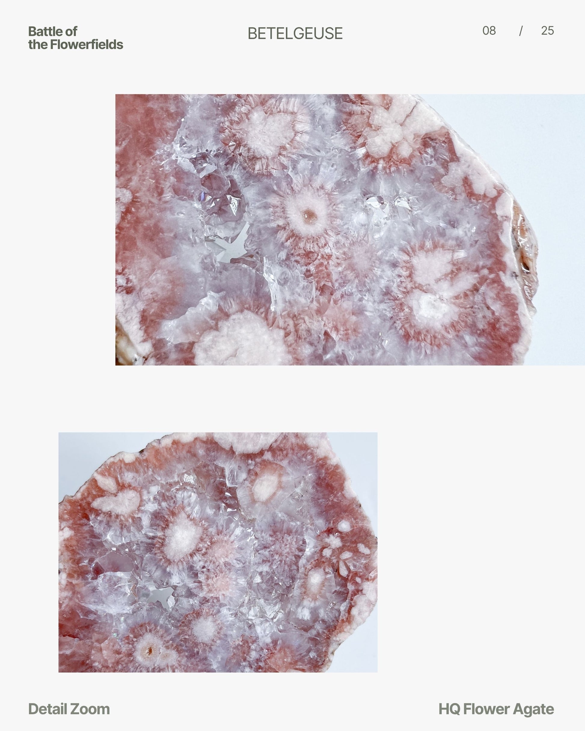 Zoomed detail of Juliette Flower Agate highlighting clear druzy and petal-like mineral formations