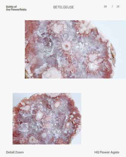 Zoomed detail of Juliette Flower Agate highlighting clear druzy and petal-like mineral formations