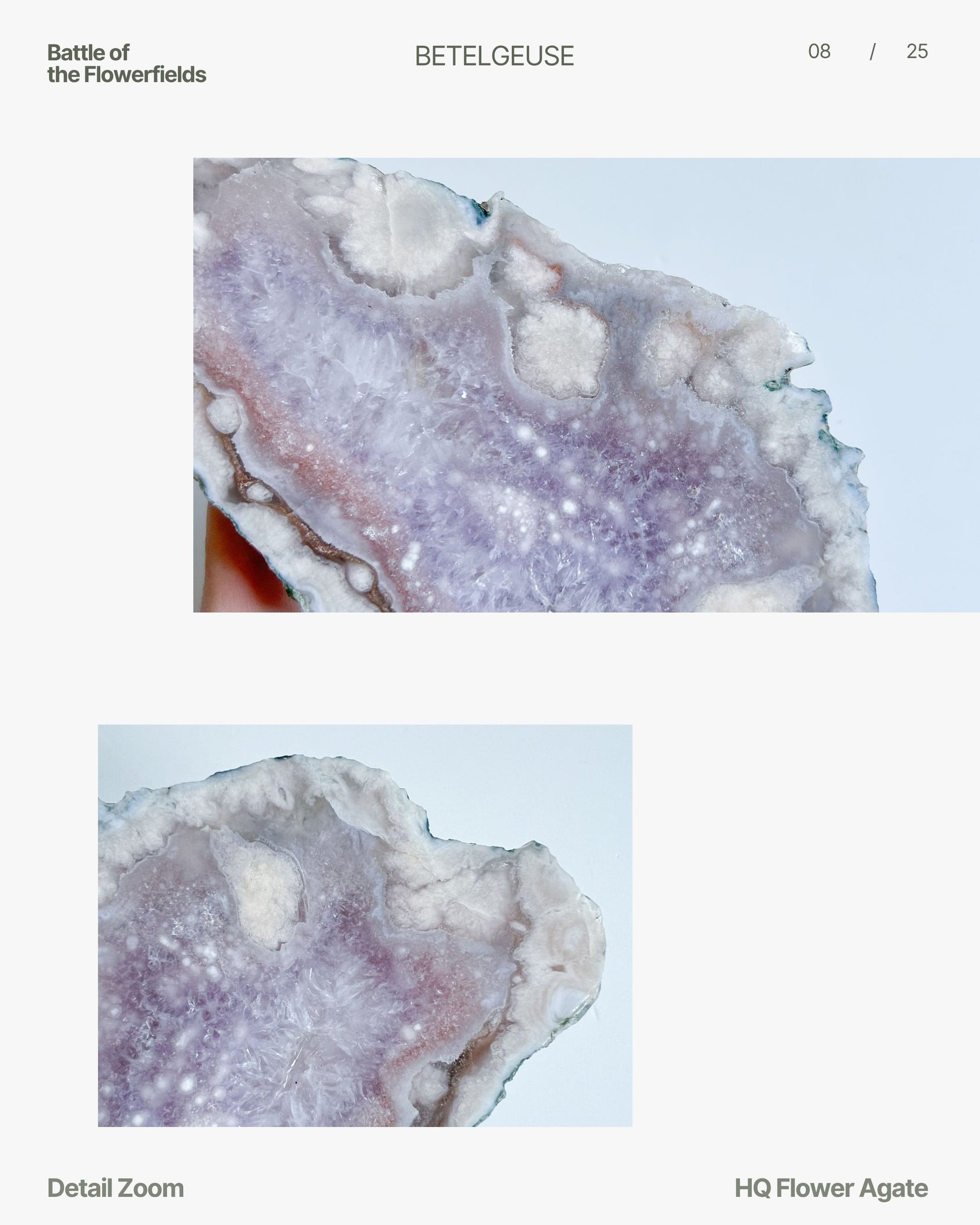 Close-up of Eleanor's sparkling druzy and cloudy white blooms
