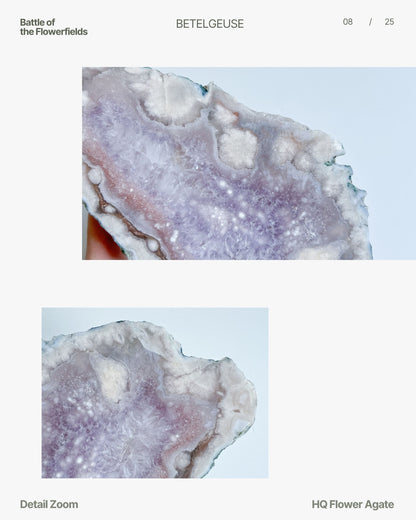 Close-up of Eleanor's sparkling druzy and cloudy white blooms