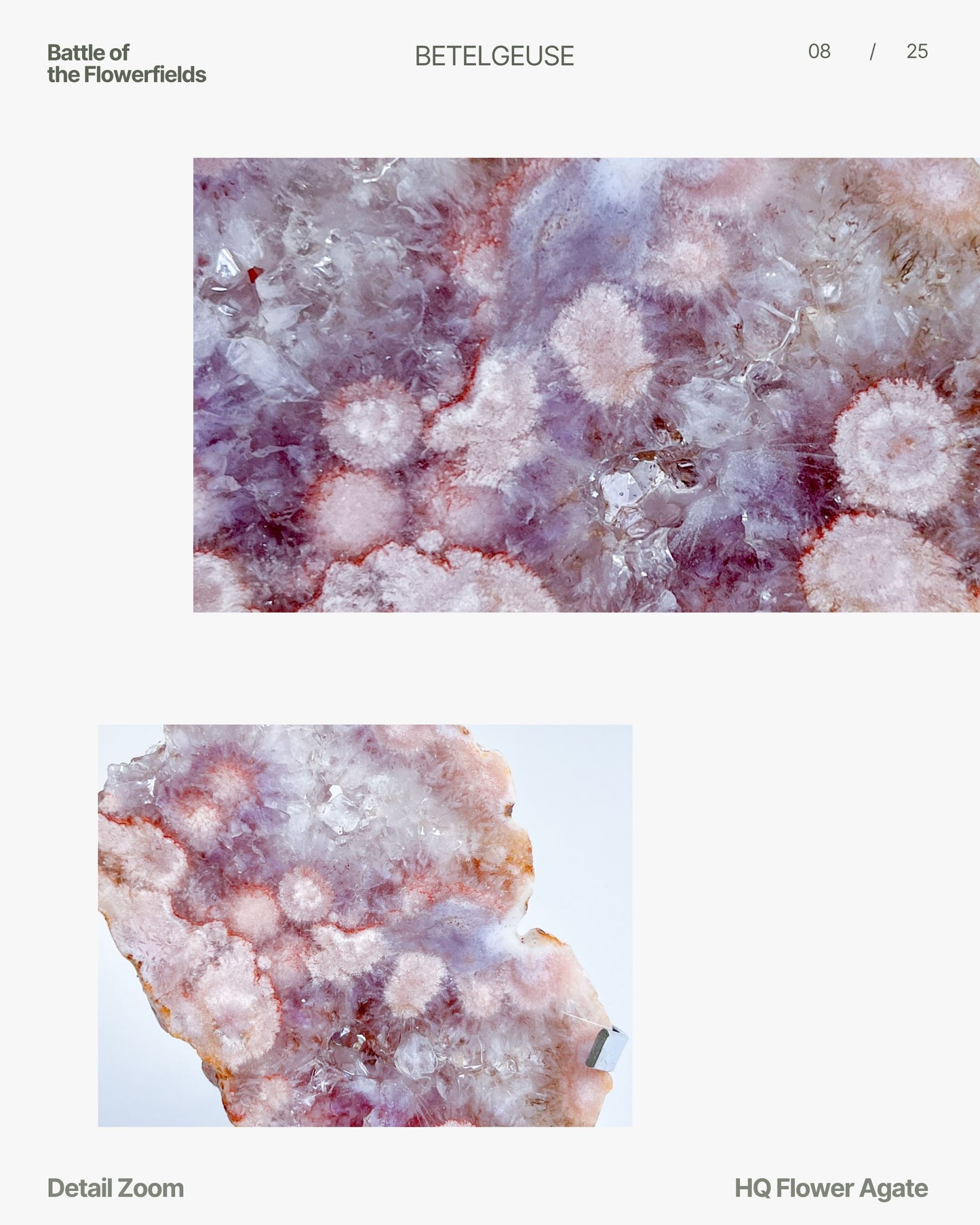 HQ Flower Agate Freeform / 09: Lily