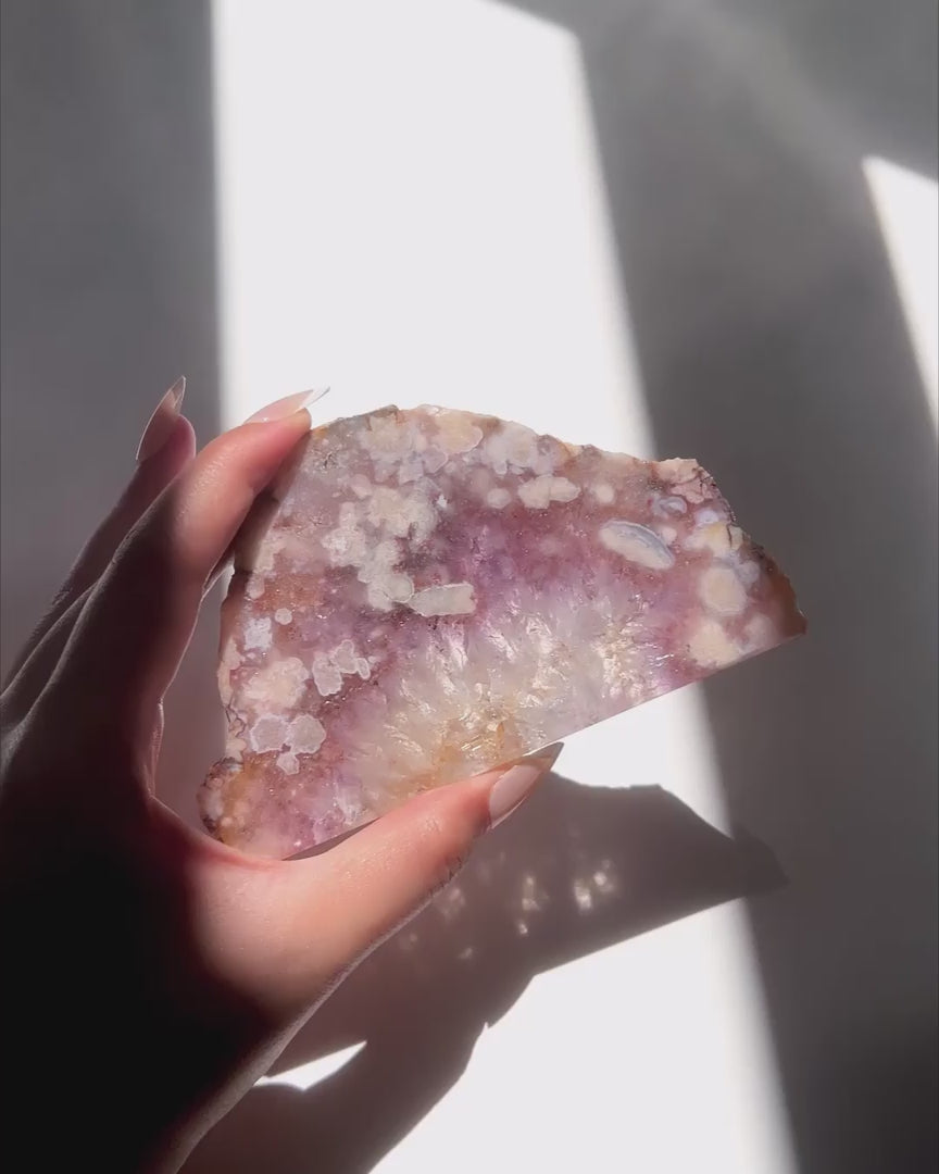 Video of Hand holding Avery Flower Agate slab under sunlight