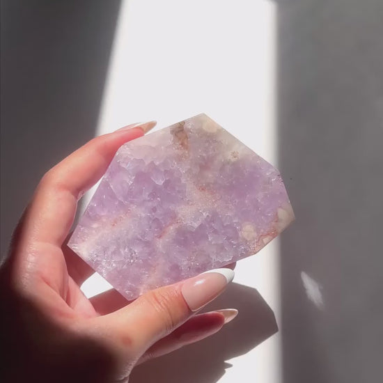 Video of Hand holding Faye Flower Agate slab under sunlight and natural daylight