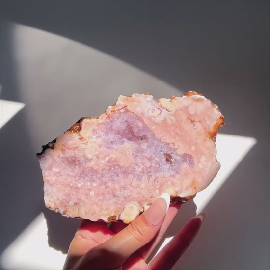 Video of Hand holding Roselle Flower Agate slab under sunlight and natural daylight