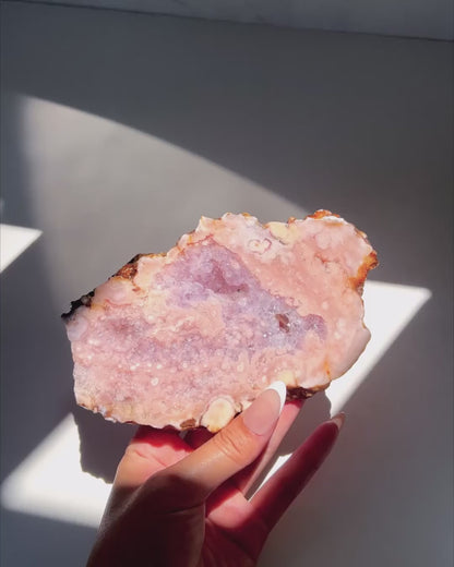 Video of Hand holding Roselle Flower Agate slab under sunlight and natural daylight