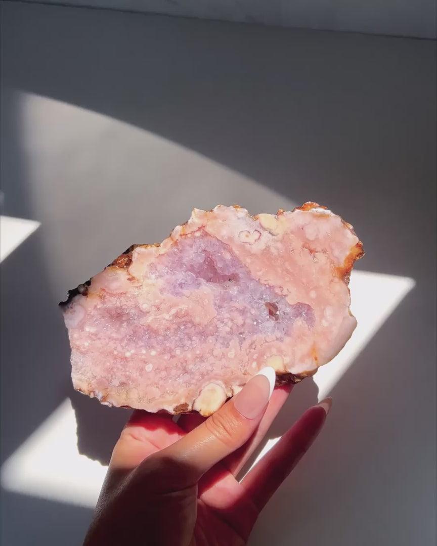 Video of Hand holding Roselle Flower Agate slab under sunlight and natural daylight