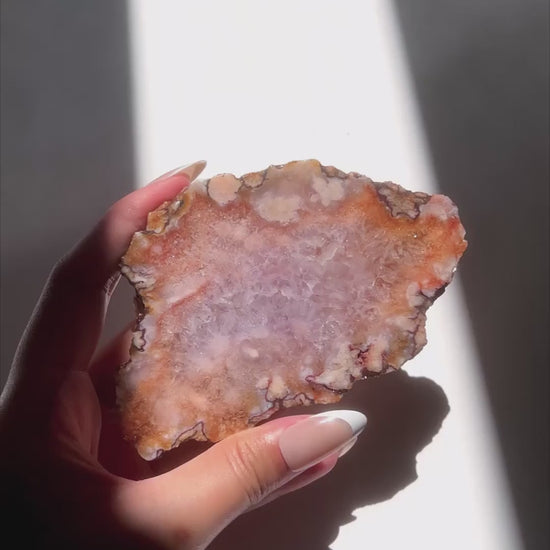 Video of Hand holding Ella Flower Agate slab under sunlight and natural daylight