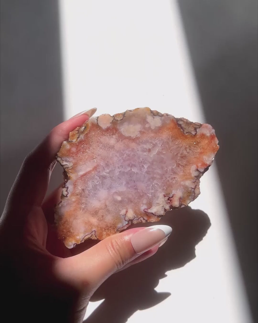 Video of Hand holding Ella Flower Agate slab under sunlight and natural daylight