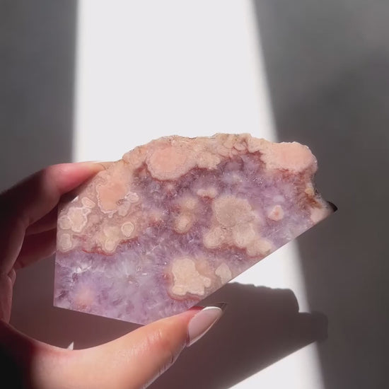 Video of Hand holding Naomi Flower Agate slab under sunlight and natural daylight