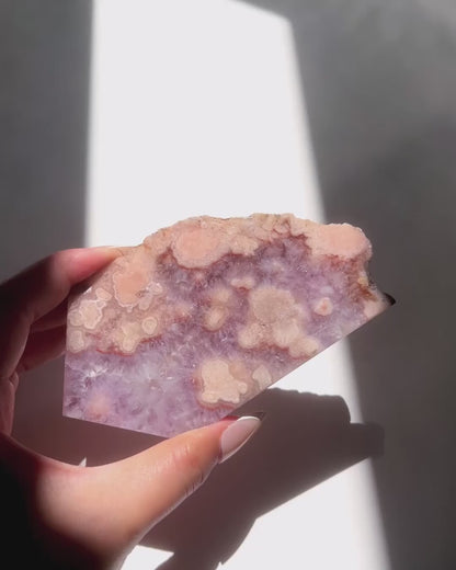 Video of Hand holding Naomi Flower Agate slab under sunlight and natural daylight