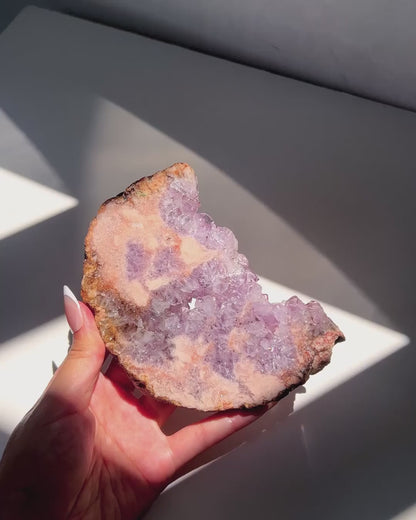 Video of Hand holding Luna Flower Agate slab under sunlight and natural daylight