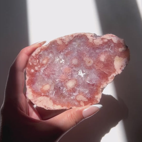 Video of Hand holding Juliette Flower Agate slab under sunlight and natural daylight