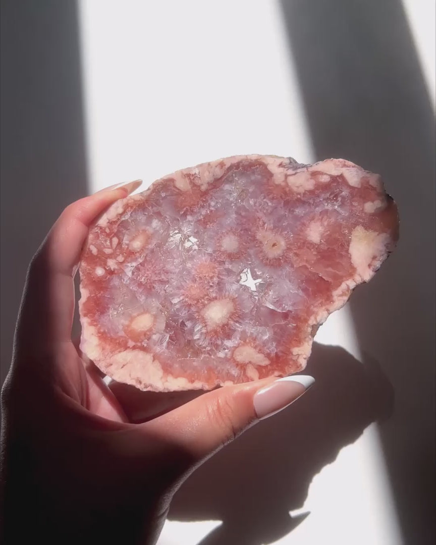 Video of Hand holding Juliette Flower Agate slab under sunlight and natural daylight